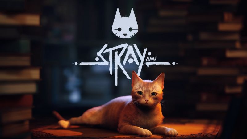 Cuanto Pesa Stray