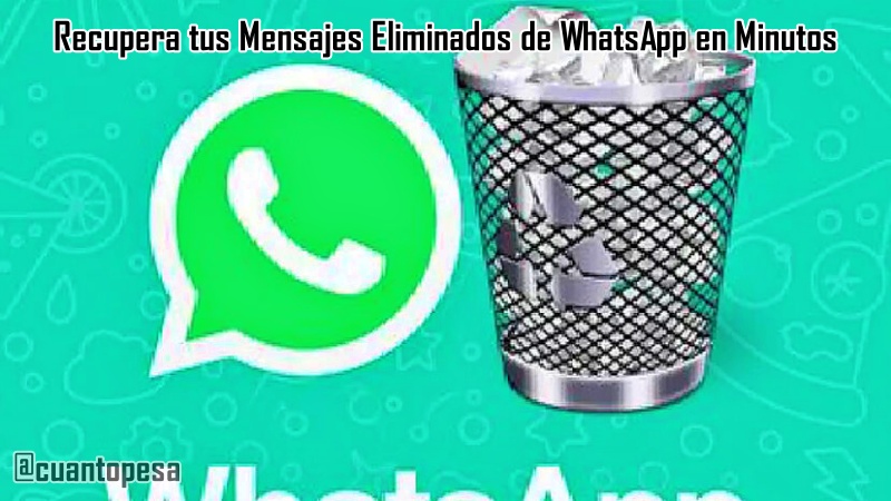 Recupera tus Mensajes Eliminados de WhatsApp en Minutos