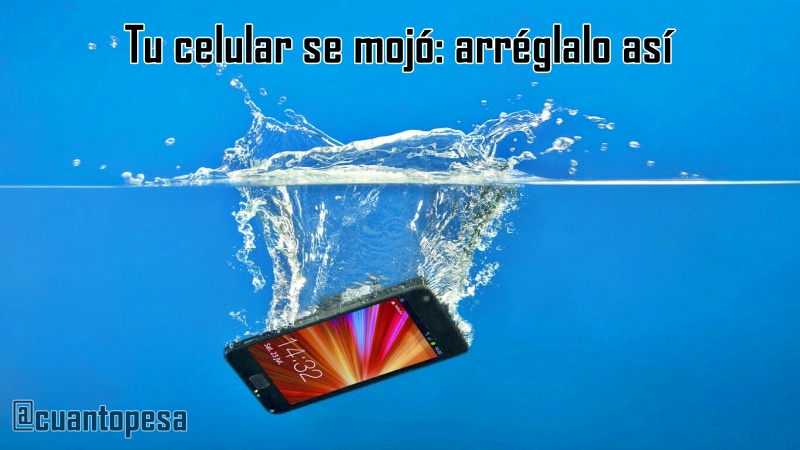 Tu celular se mojó: arréglalo así
