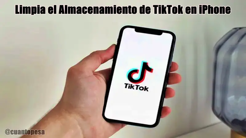 Limpia el Almacenamiento de TikTok en iPhone